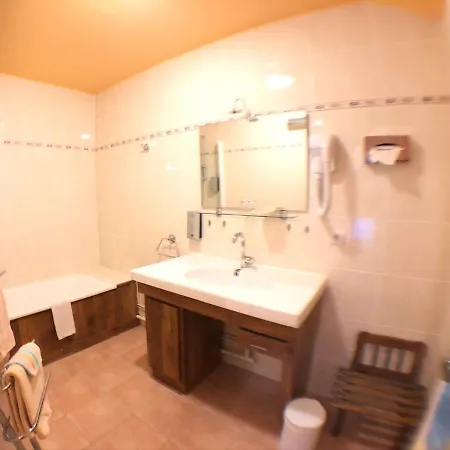 Hotel Logis Auv'hôtel Mauriac (Cantal)